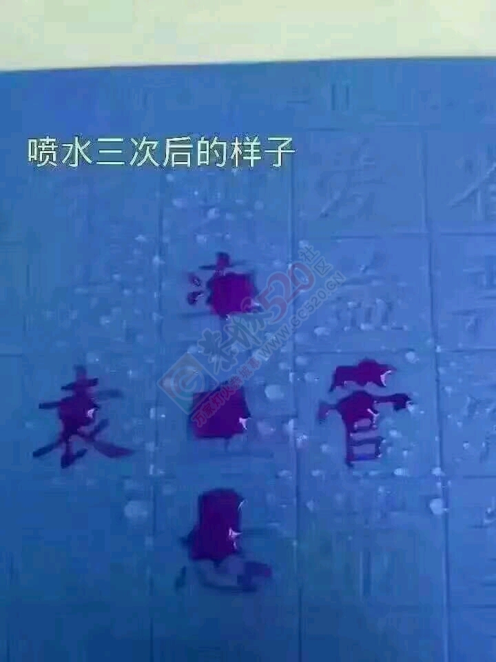 中华练字王儿童早教产品零售价39无一套包邮407 / 作者:李媛媛 / 帖子ID:177885