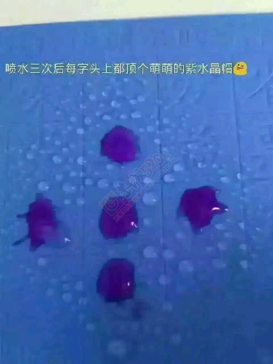 中华练字王儿童早教产品零售价39无一套包邮245 / 作者:李媛媛 / 帖子ID:177885