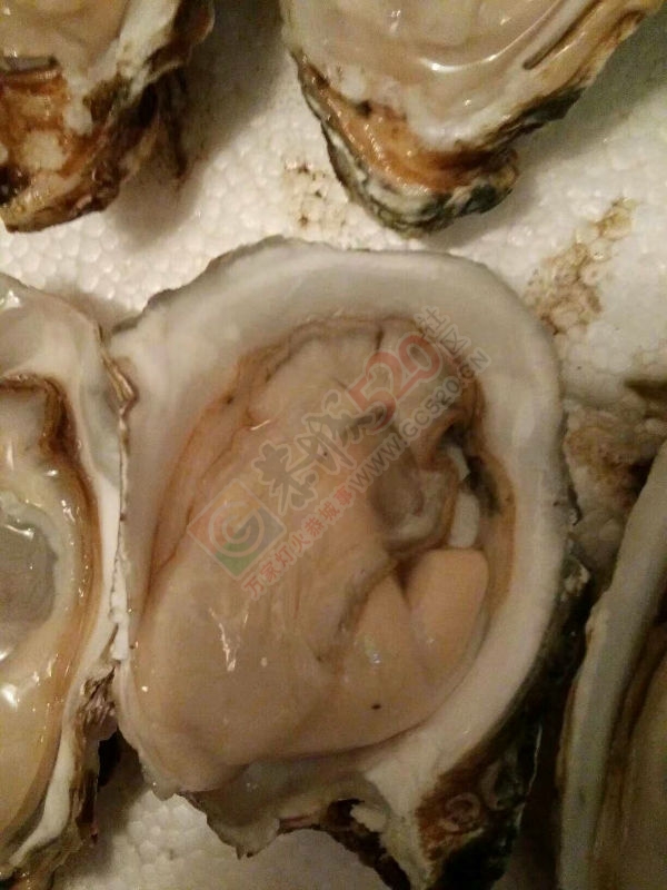 想做一夜九次郎，吃拉生蚝再上床……783 / 作者:迷糊蛋 / 帖子ID:177964
