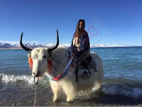 90后妹纸一个人徒搭川藏南线318进藏的经历520 / 作者:登山涉水 / 帖子ID:178158