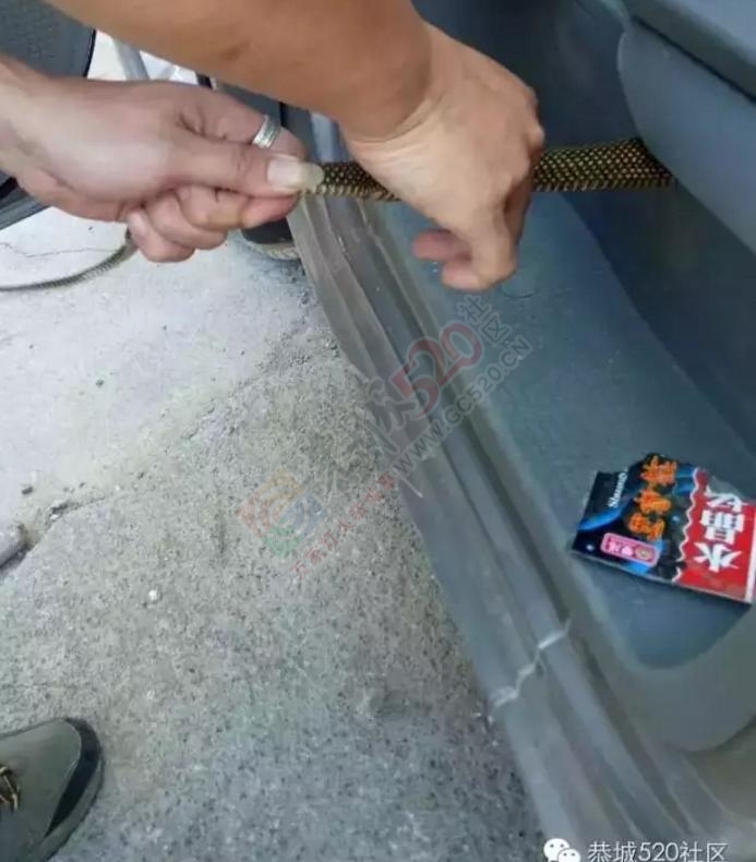 恭城这位车主路边停车，没想到车里来了不速之客，吓坏车主！554 / 作者:520小编 / 帖子ID:178858