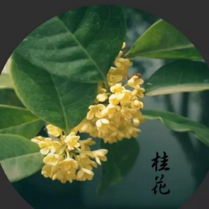 QQ浏览器截图_20161008143530_10A9D1B382984075B76F2E07D0FA6912.jpg
