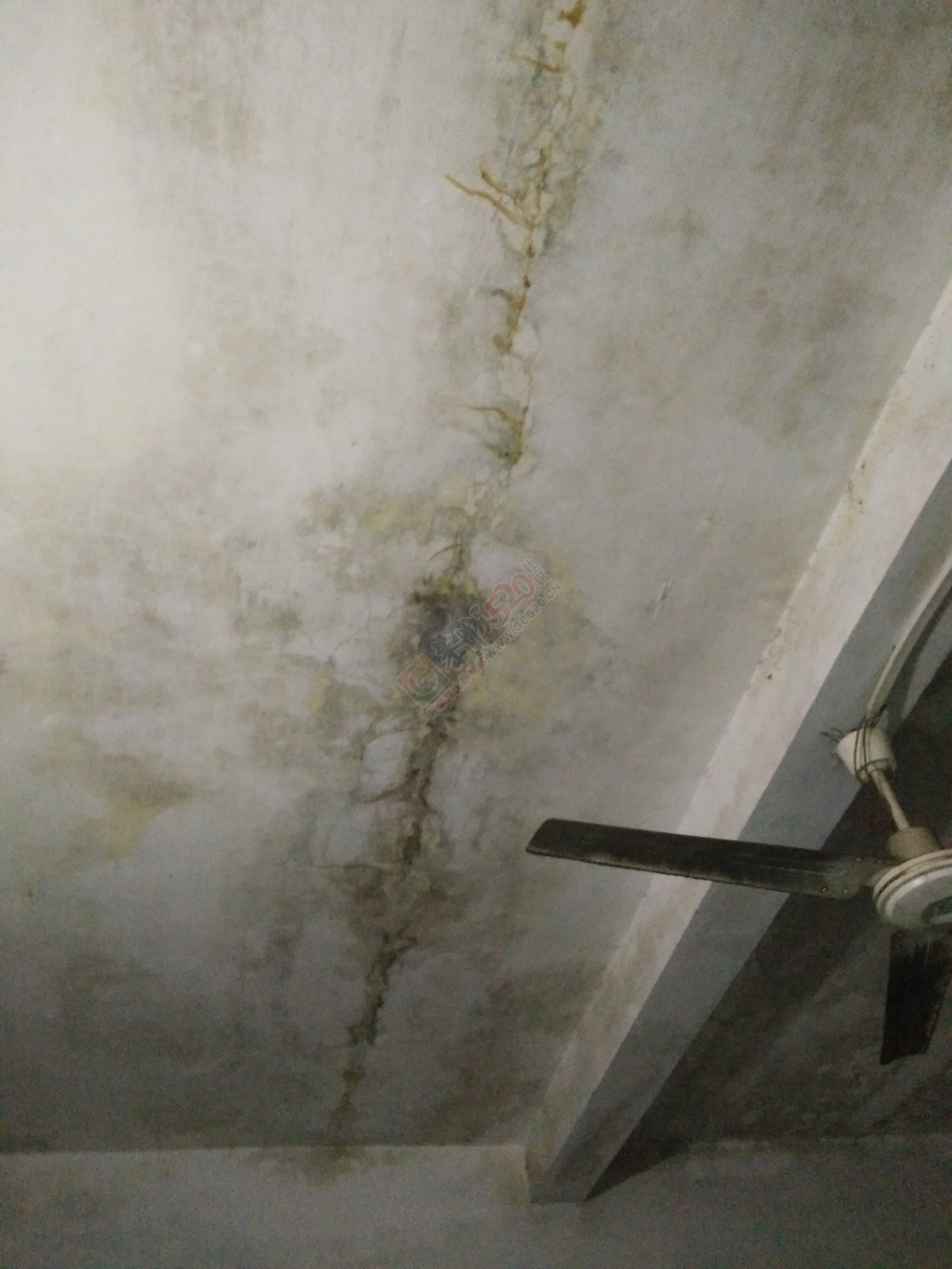 承接建筑屋面隔热防水，修补裂痕，补漏358 / 作者:QZX / 帖子ID:167992
