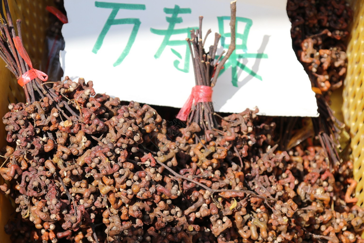 恭城月柿节，已经开园，现场太精彩了870 / 作者:桂林活动网 / 帖子ID:179677