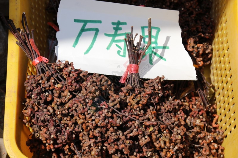 恭城月柿节，已经开园，现场太精彩了587 / 作者:桂林活动网 / 帖子ID:179677
