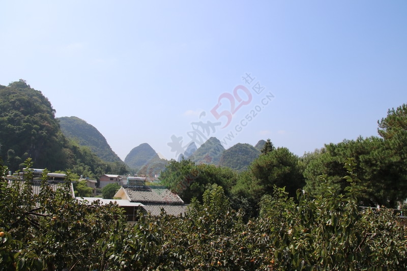 恭城月柿节，已经开园，现场太精彩了790 / 作者:桂林活动网 / 帖子ID:179677