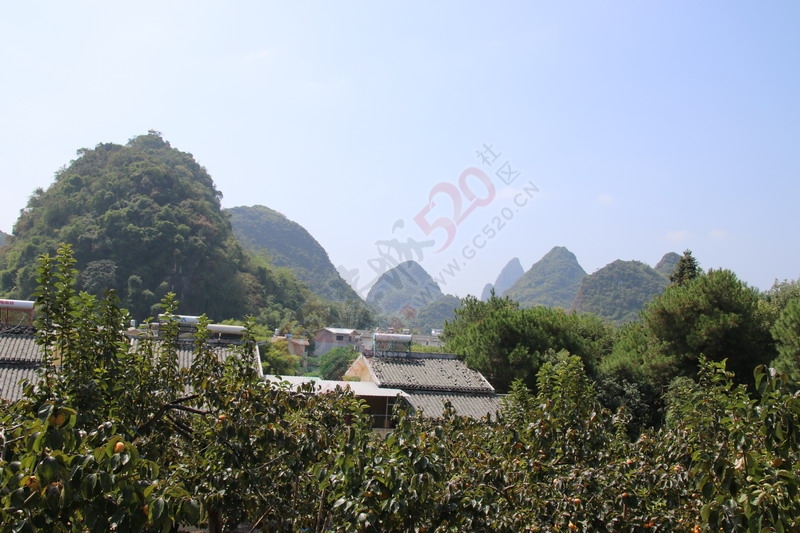 恭城月柿节，已经开园，现场太精彩了637 / 作者:桂林活动网 / 帖子ID:179677