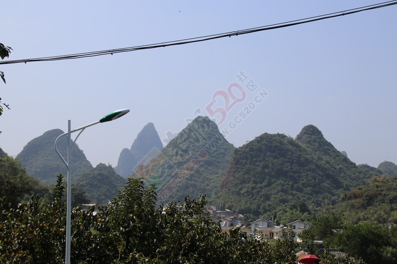 恭城月柿节，已经开园，现场太精彩了188 / 作者:桂林活动网 / 帖子ID:179677
