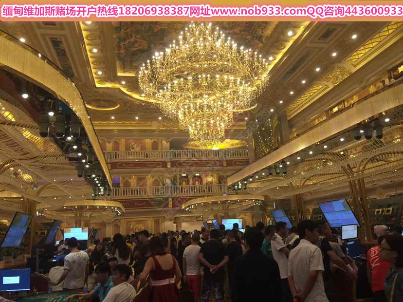 缅甸小勐拉维加斯赌-——-场819 / 作者:1539691446 / 帖子ID:179883