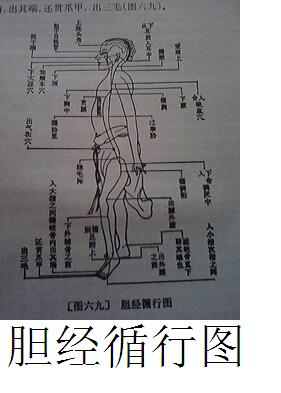 肝病（肝硬化）临症详细实录363 / 作者:时珍后人 / 帖子ID:179915