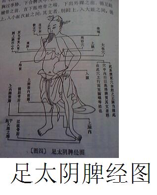 肝病（肝硬化）临症详细实录241 / 作者:时珍后人 / 帖子ID:179915