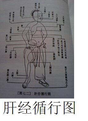 肝病（肝硬化）临症详细实录660 / 作者:时珍后人 / 帖子ID:179915