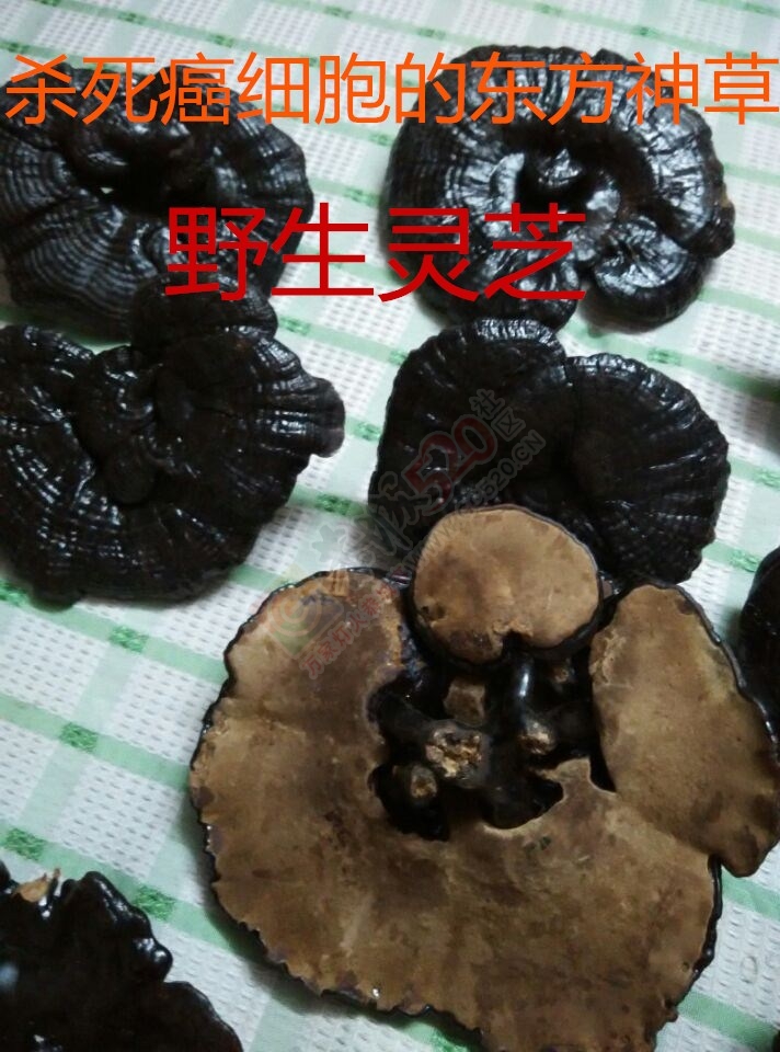 肝病（肝硬化）临症详细实录606 / 作者:时珍后人 / 帖子ID:179915