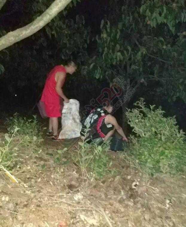 恭城古城村柿园来了两群不速之客，昨晚消防部门紧急出动……678 / 作者:千变万幻 / 帖子ID:180439