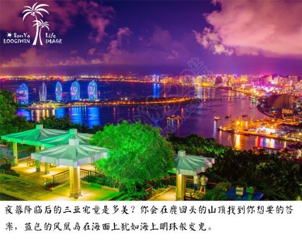 夕阳无限美，只是近黄昏686 / 作者:想都不想 / 帖子ID:181246