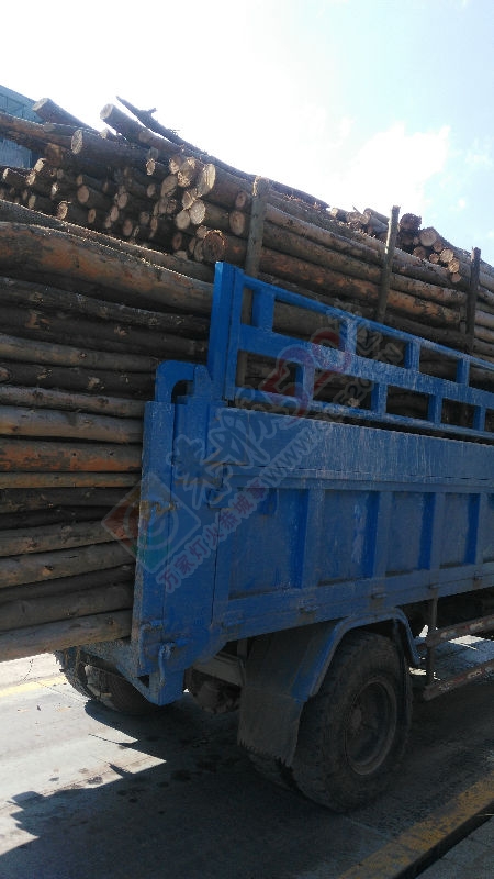 小南骏转让755 / 作者:无极限 / 帖子ID:181377