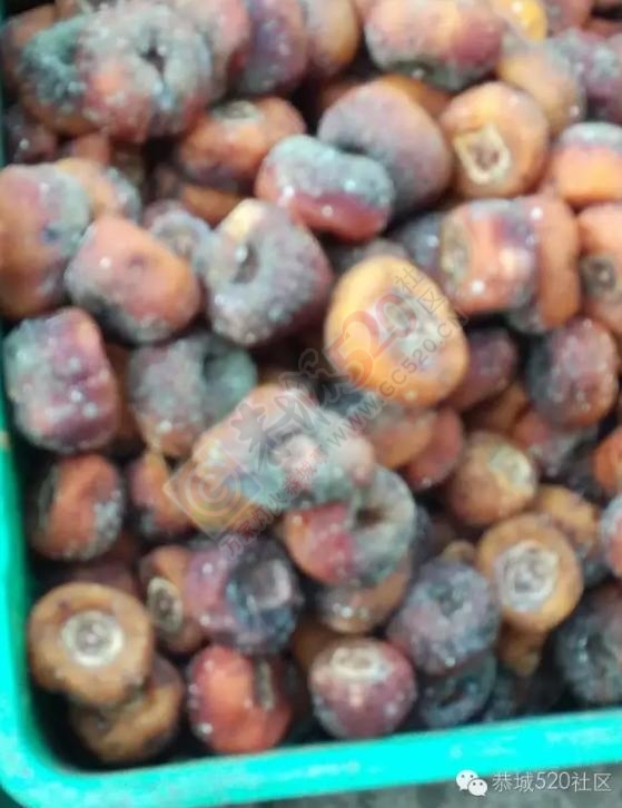 回南天遇见停电，柿饼发霉得掺不忍睹！！！989 / 作者:茶江人 / 帖子ID:181385