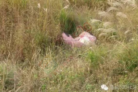 【突发】恭城嘉会白羊路段凯迪拉克撞飞电动车，致电动车上两人当场死亡！805 / 作者:筱燕子 / 帖子ID:186012