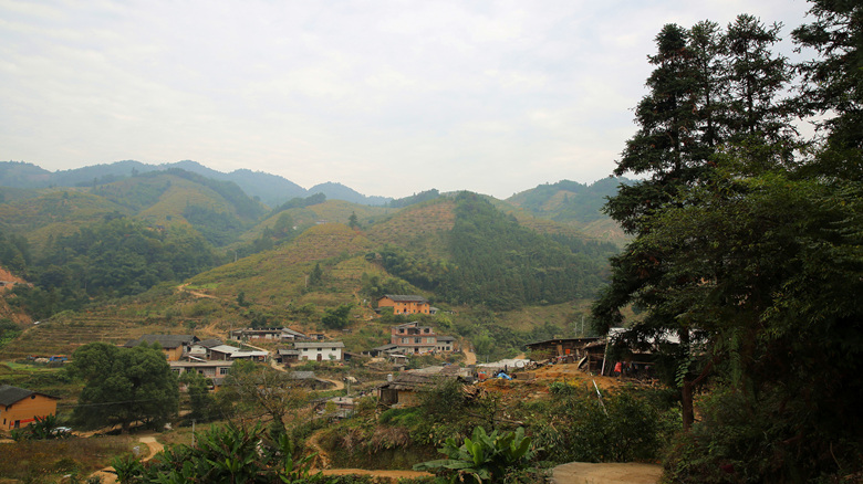 走进恭城瑶山-畅享自然盛景977 / 作者:柚子壳※ / 帖子ID:186031