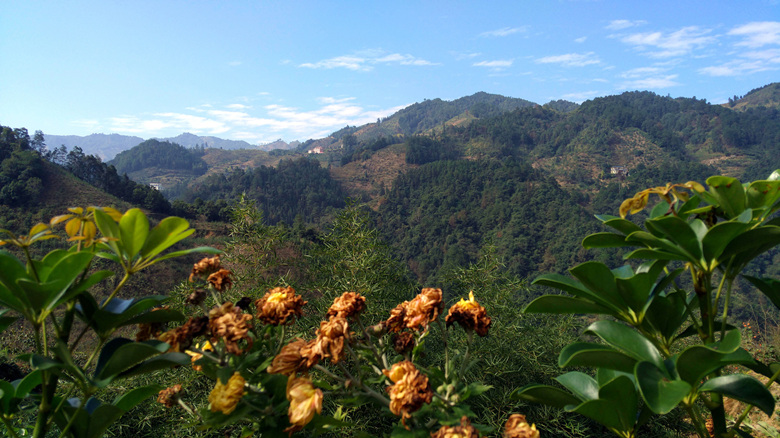 走进恭城瑶山-畅享自然盛景310 / 作者:柚子壳※ / 帖子ID:186031