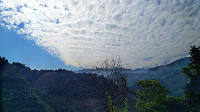 走进恭城瑶山-畅享自然盛景655 / 作者:柚子壳※ / 帖子ID:186031