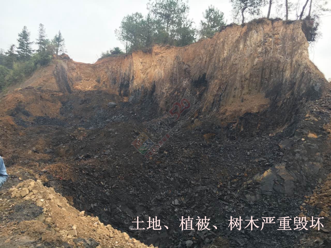 挑战法律----村干部盗挖土地取土出售牟取暴利989 / 作者:李元芳 / 帖子ID:191172