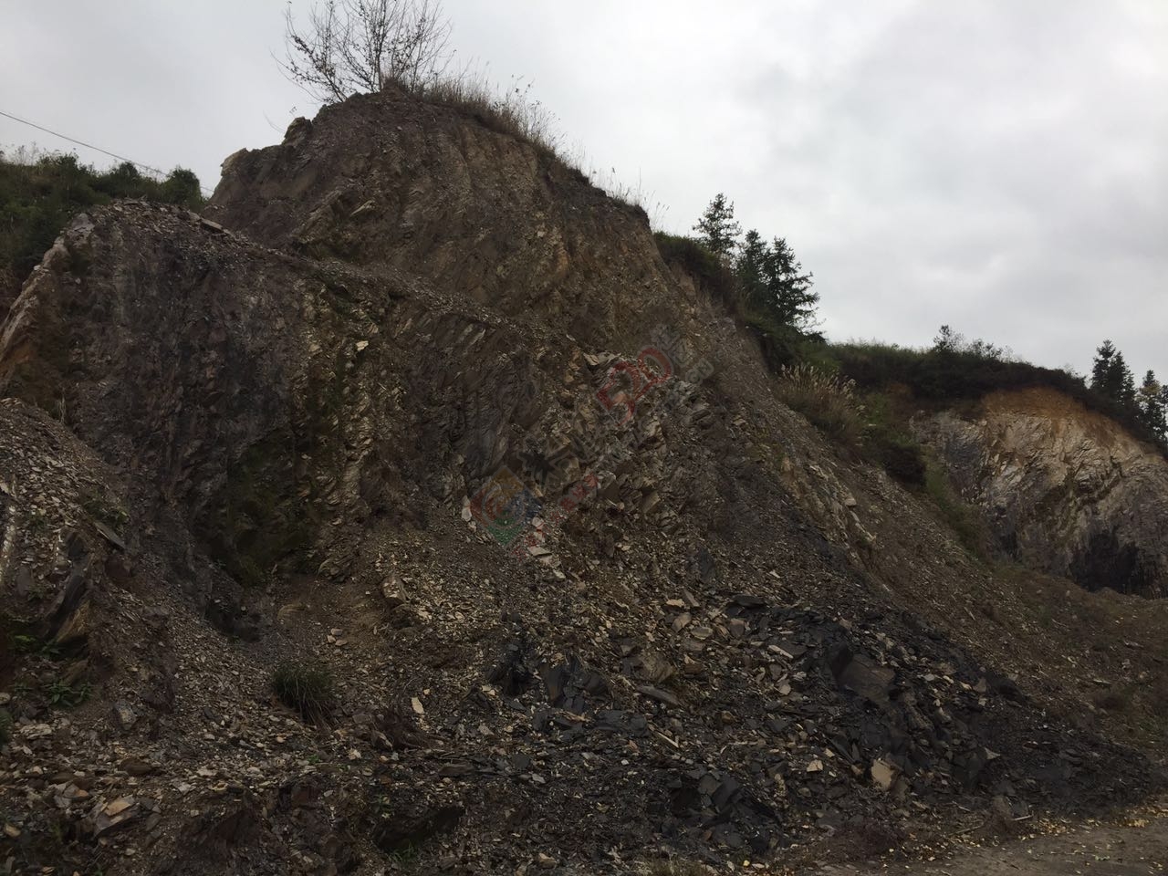 挑战法律----村干部盗挖土地取土出售牟取暴利861 / 作者:李元芳 / 帖子ID:191172