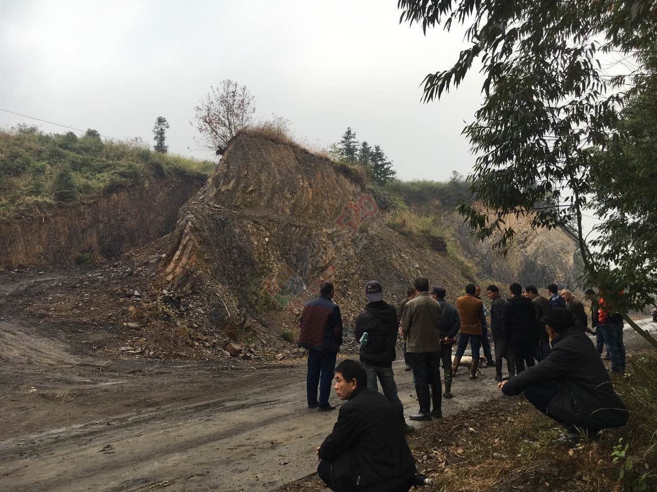 挑战法律----村干部盗挖土地取土出售牟取暴利988 / 作者:李元芳 / 帖子ID:191172