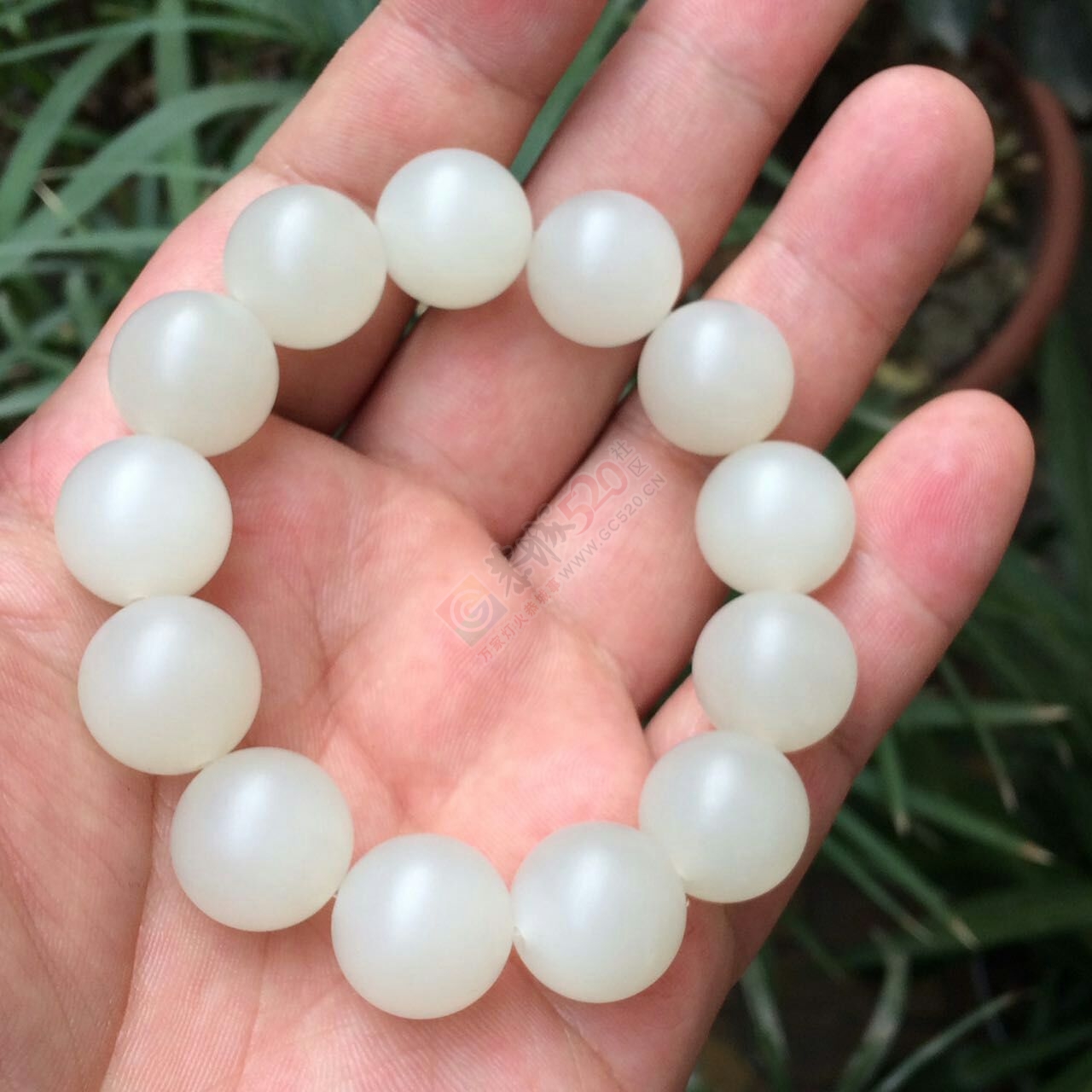 出手和田山料非常油润1.6圆珠手串503 / 作者:月落风 / 帖子ID:191241