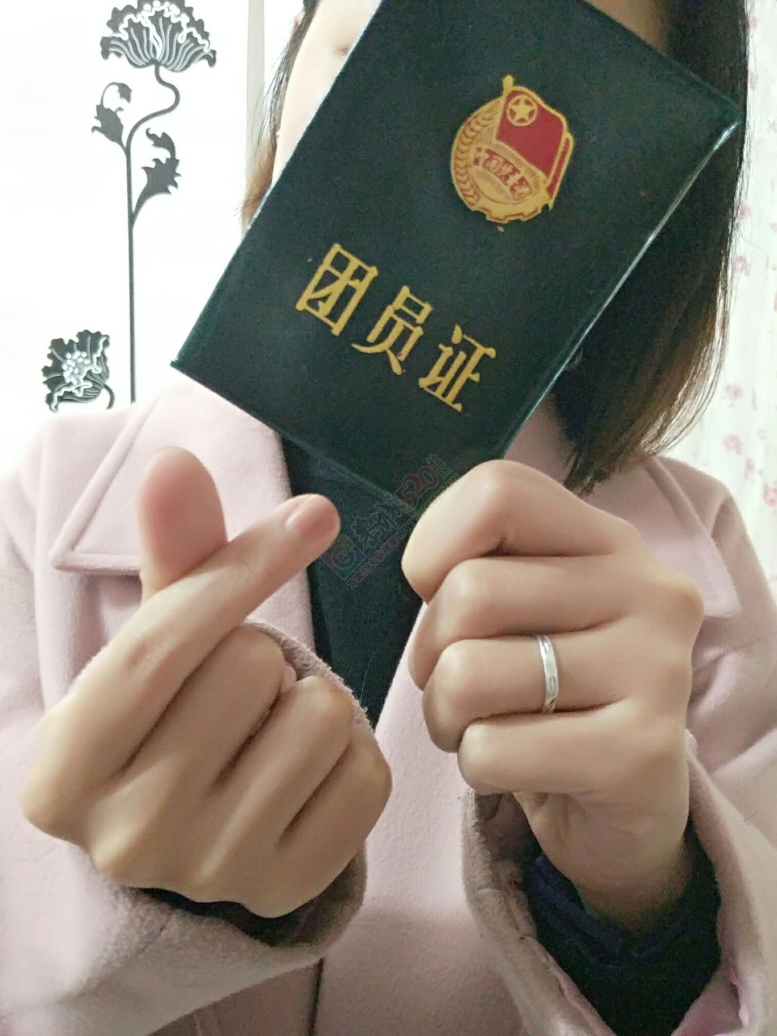 亮身份，争先锋，恭城青年，撸起袖子干起来102 / 作者:团恭城县委 / 帖子ID:191261