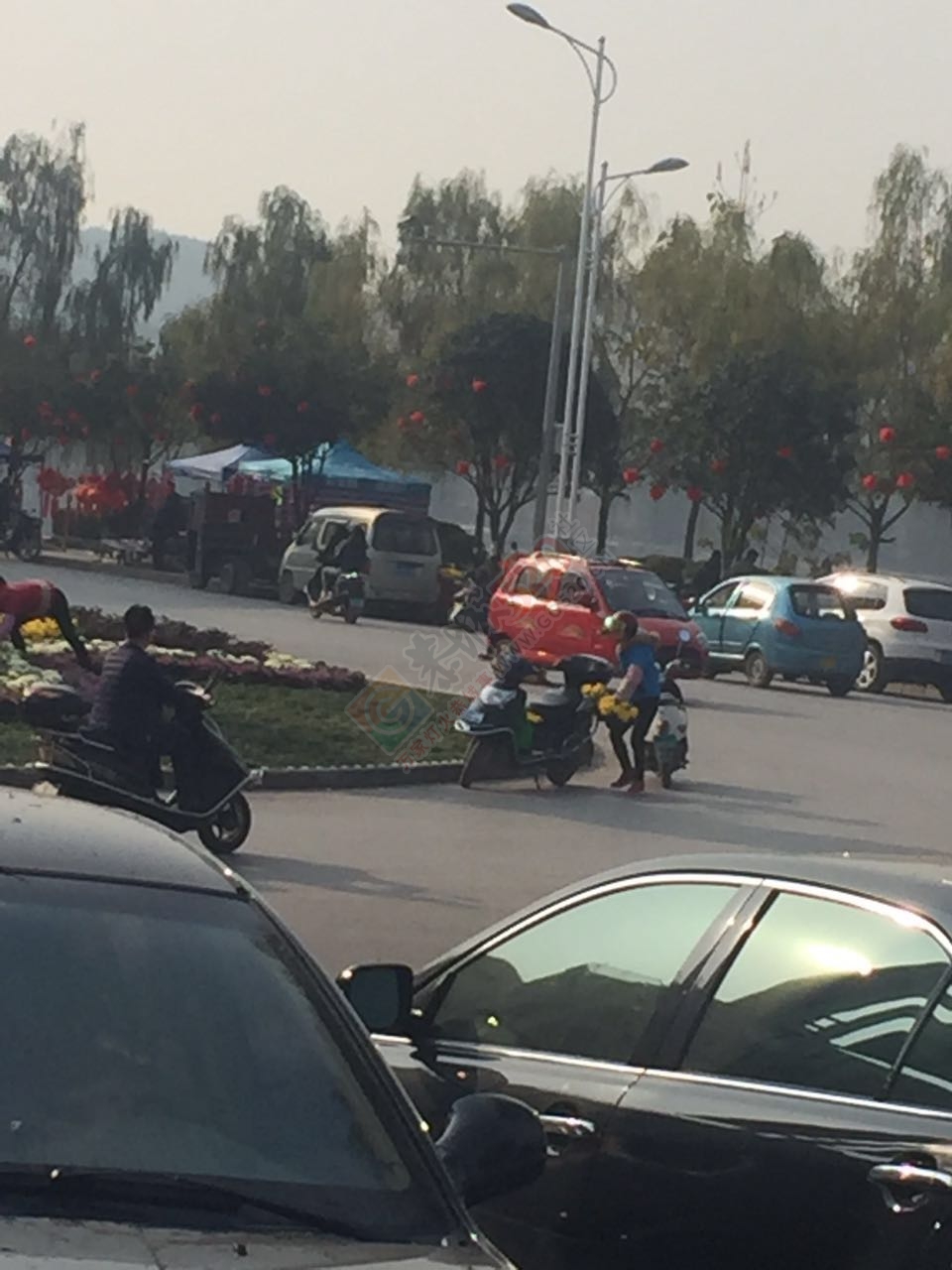 网友爆料有人在滨江苑圆盘处偷花746 / 作者:水墨茶江 / 帖子ID:191377