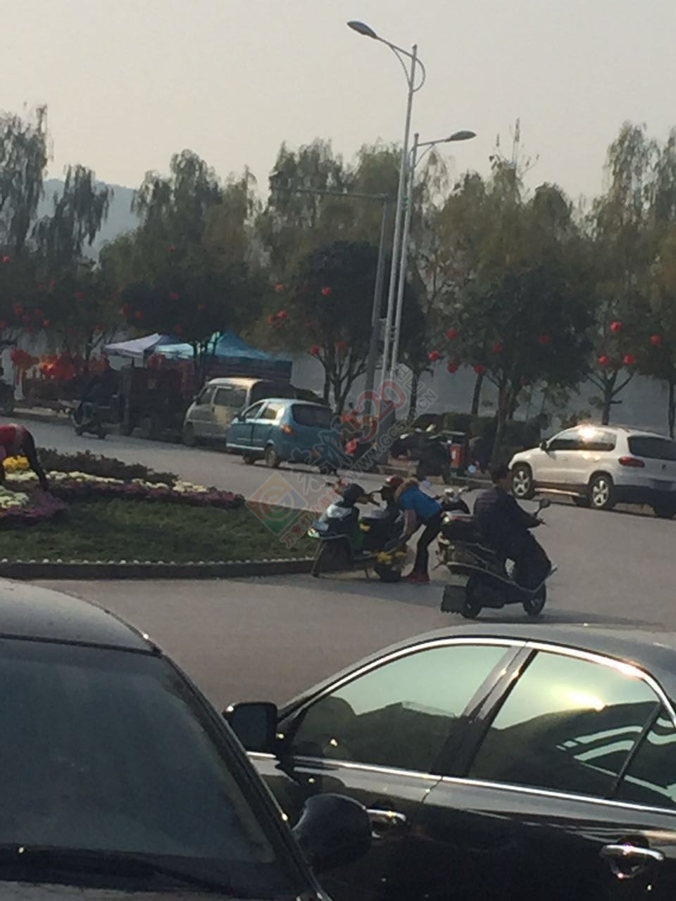 网友爆料有人在滨江苑圆盘处偷花910 / 作者:水墨茶江 / 帖子ID:191377
