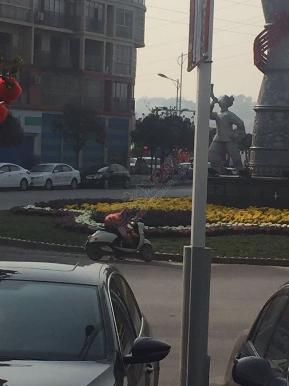 网友爆料有人在滨江苑圆盘处偷花798 / 作者:水墨茶江 / 帖子ID:191377