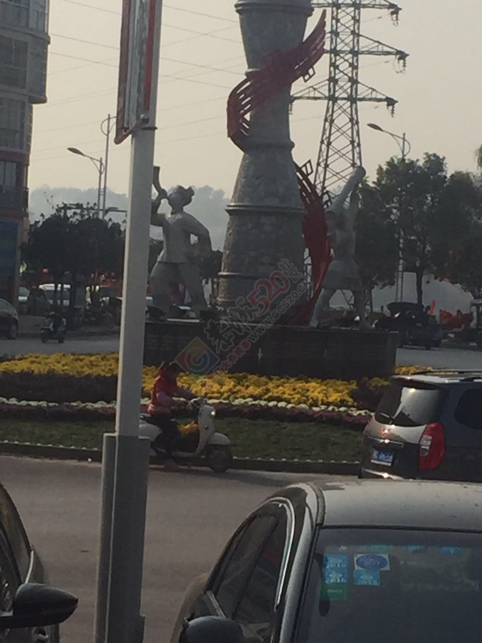 网友爆料有人在滨江苑圆盘处偷花852 / 作者:水墨茶江 / 帖子ID:191377