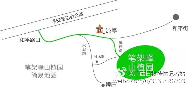 恭城山楂花开了！来一场烂漫的山楂树之恋568 / 作者:怡儿妖妖 / 帖子ID:191592