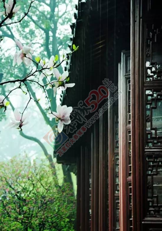 人生就是三和七(太经典了)472 / 作者:儿时的回忆 / 帖子ID:192966