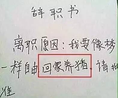 恭城一女子辞职信被流出，竟曝光这么多内幕！244 / 作者:分叉路口 / 帖子ID:193079