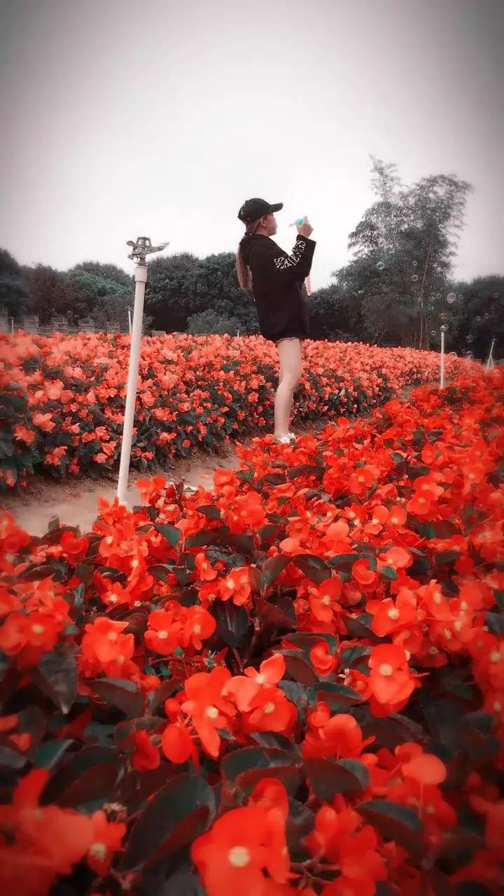 冒泡。。。。834 / 作者:在广州的恭城人 / 帖子ID:193138