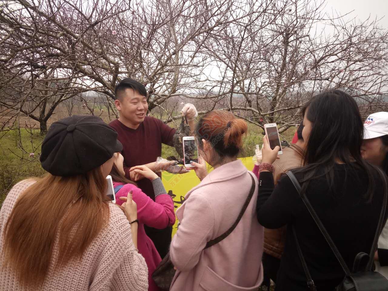 赏嘉会太平千亩桃花油菜花、桃花园中打窑仔活动召集帖[桂林恭城]254 / 作者:admin2 / 帖子ID:193314