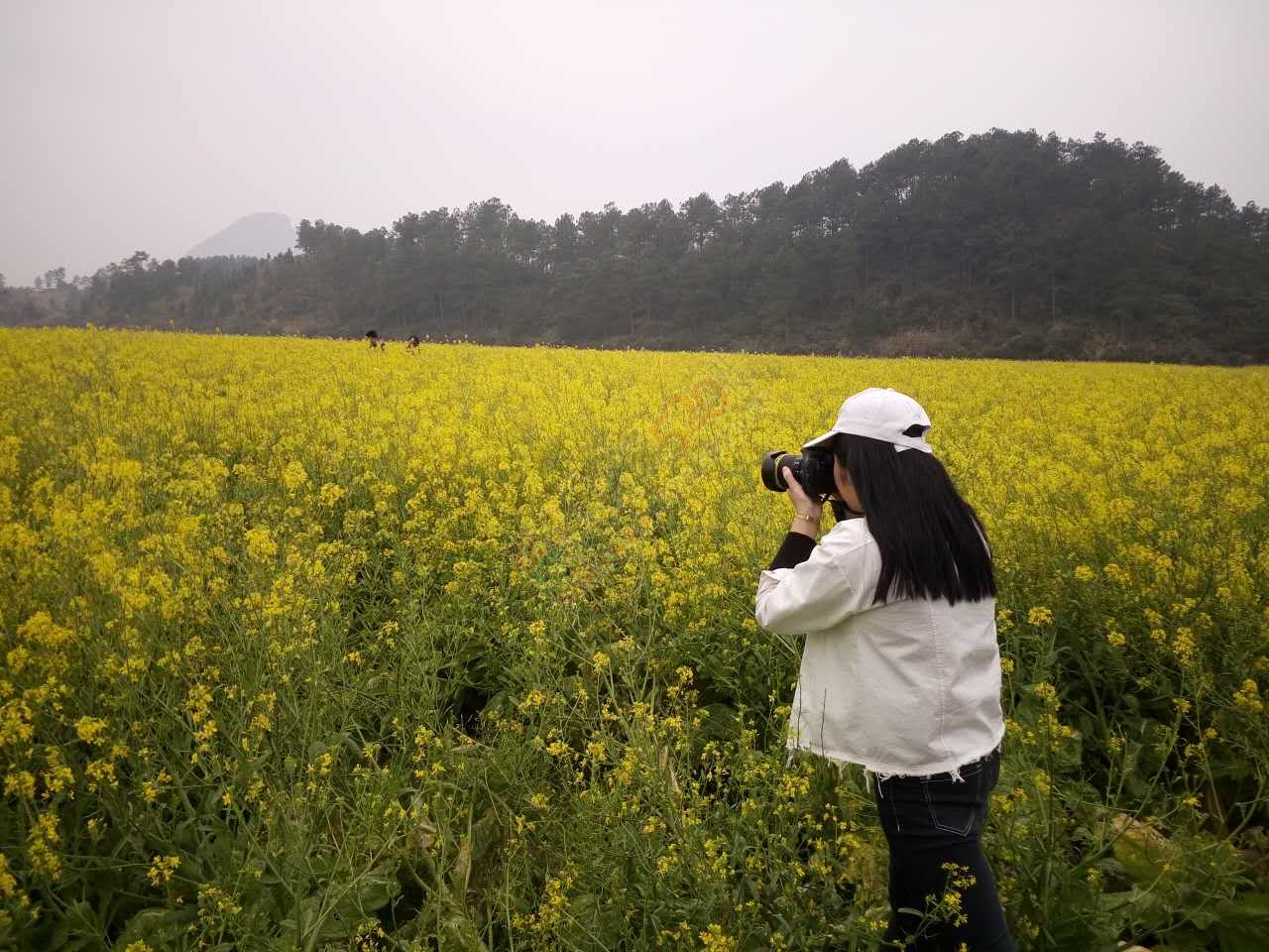 赏嘉会太平千亩桃花油菜花、桃花园中打窑仔活动召集帖[桂林恭城]216 / 作者:admin2 / 帖子ID:193314