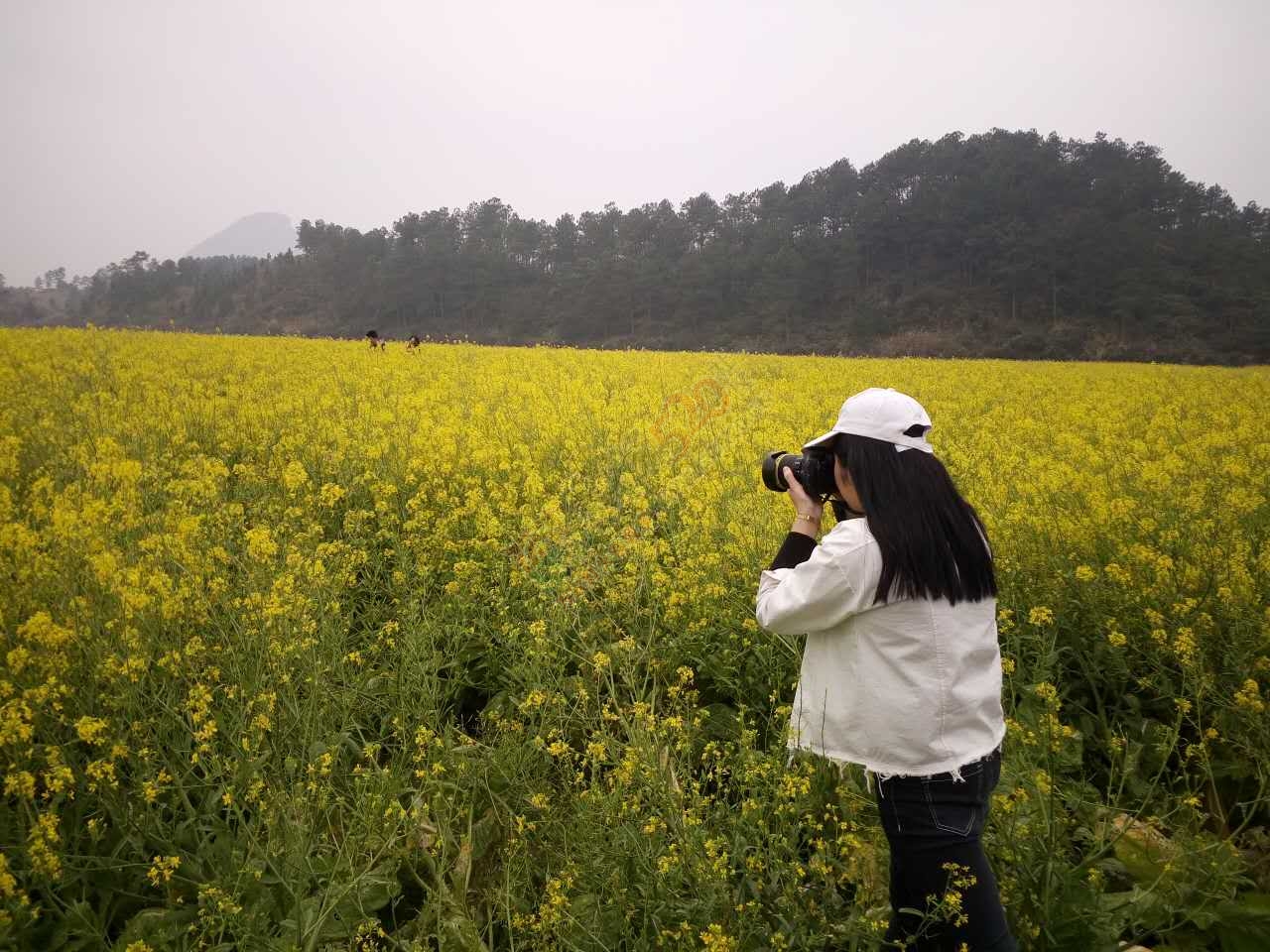 赏嘉会太平千亩桃花油菜花、桃花园中打窑仔活动召集帖[桂林恭城]755 / 作者:admin2 / 帖子ID:193314