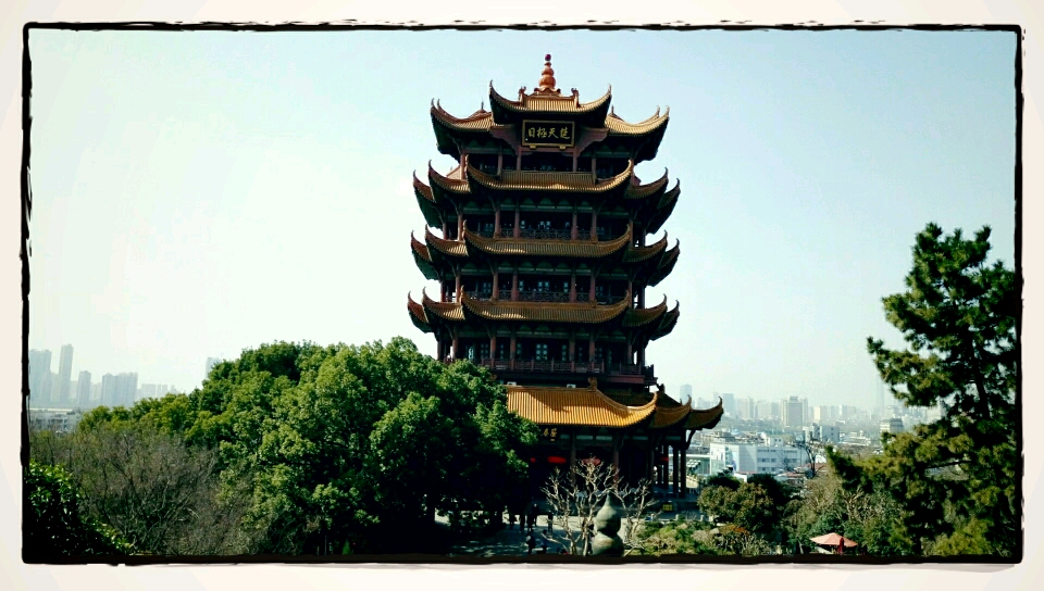 不知道该怎么说996 / 作者:绎苒 / 帖子ID:194317