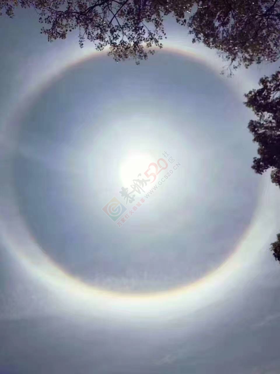 太阳公公！今天被你刷屏了！202 / 作者:罗少爷 / 帖子ID:199270