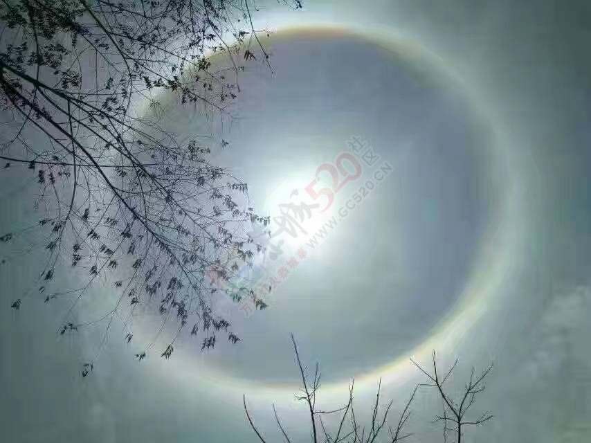 太阳公公！今天被你刷屏了！213 / 作者:罗少爷 / 帖子ID:199270