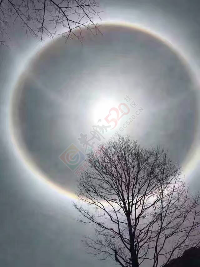 太阳公公！今天被你刷屏了！276 / 作者:罗少爷 / 帖子ID:199270