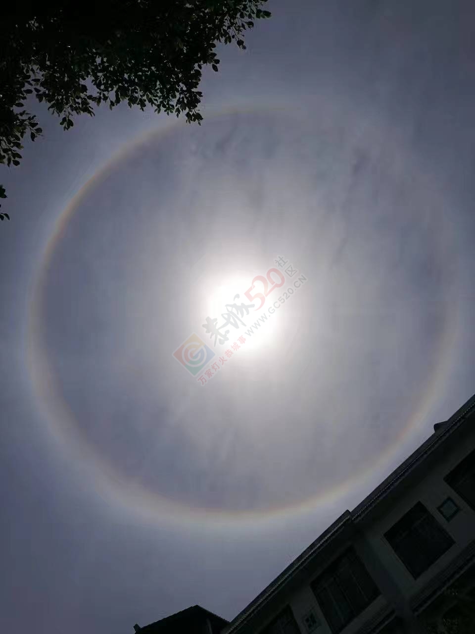 太阳公公！今天被你刷屏了！348 / 作者:罗少爷 / 帖子ID:199270