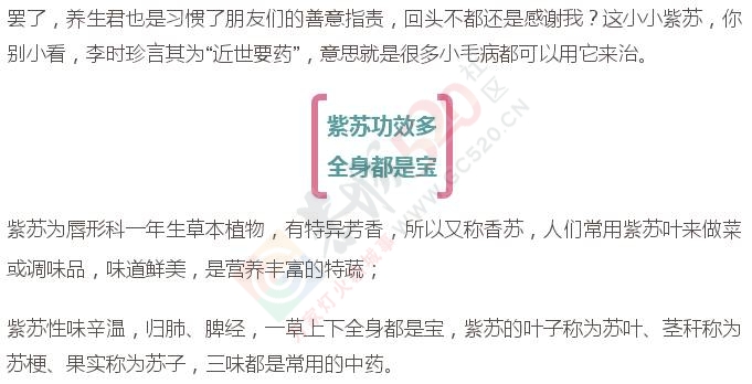 阳台种1物，散寒祛风、止血解毒…全身都是宝！524 / 作者:疾控客服 / 帖子ID:199330