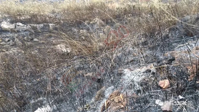 恭城网友爆料：大火后的烟灰粉尘弥漫空气中，附近居民以及过路人叫苦不堪！734 / 作者:绎苒 / 帖子ID:206588