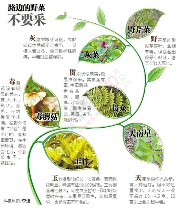 6人接连被放倒！桂林人路上看到请躲开，尤其是小孩858 / 作者:腾遥而上九万里 / 帖子ID:206625