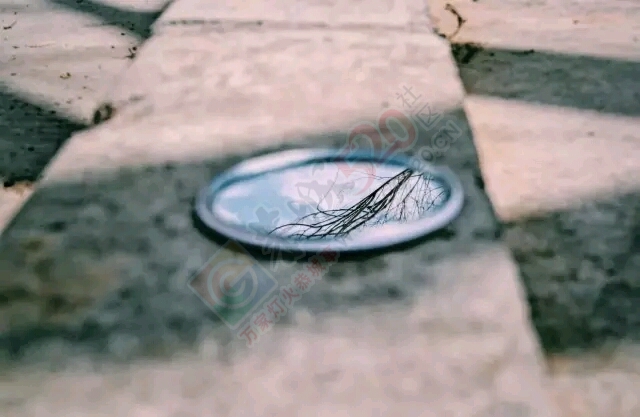？这个世界偷偷爱着你，只是你不知道533 / 作者:绎苒 / 帖子ID:206629